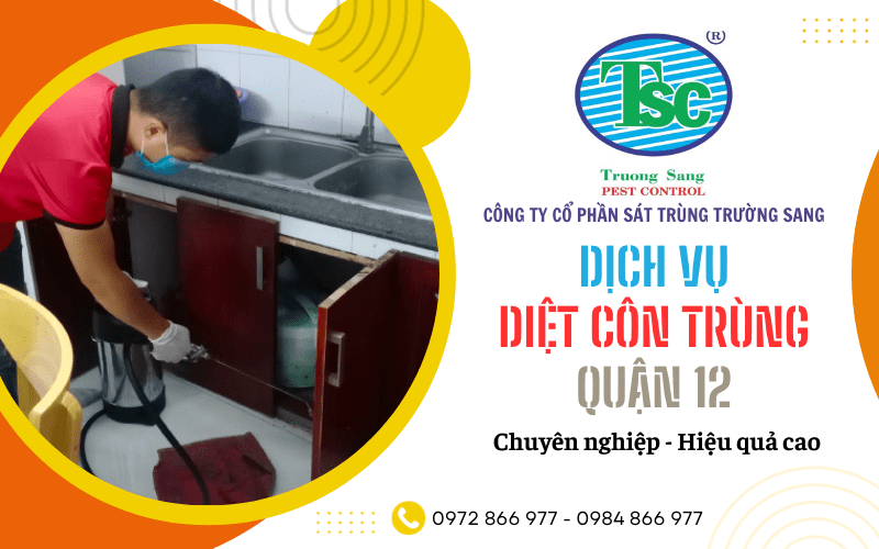 dịch vụ diệt côn trùng