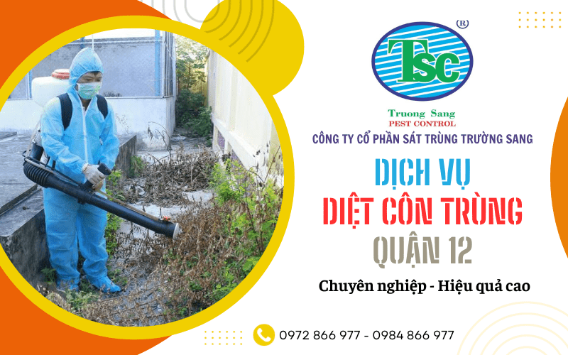 dịch vụ diệt côn trùng