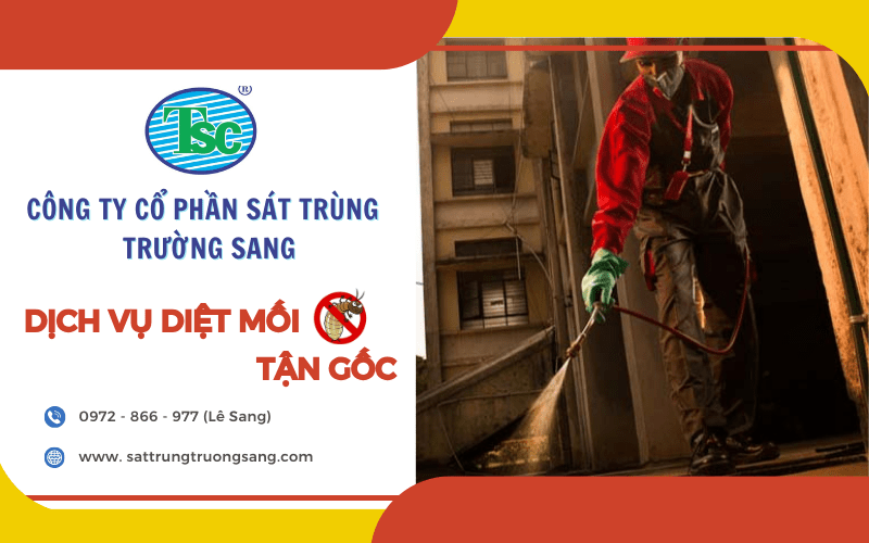 diệt mối tận gốc