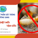 diet-moi-tan-goc-uy-tin-gia-tot-tai-tphcm-cua-truong-sang-(5)-6705.png