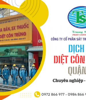 Cuộc sống thoải mái hơn với dịch vụ diệt côn trùng tại nhà của Trường Sang