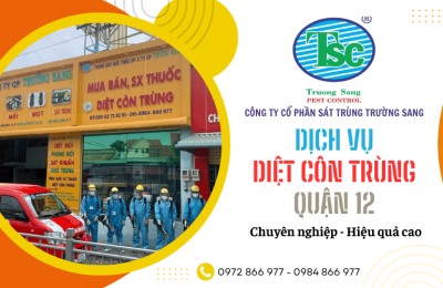 Cuộc sống thoải mái hơn với dịch vụ diệt côn trùng tại nhà của Trường Sang